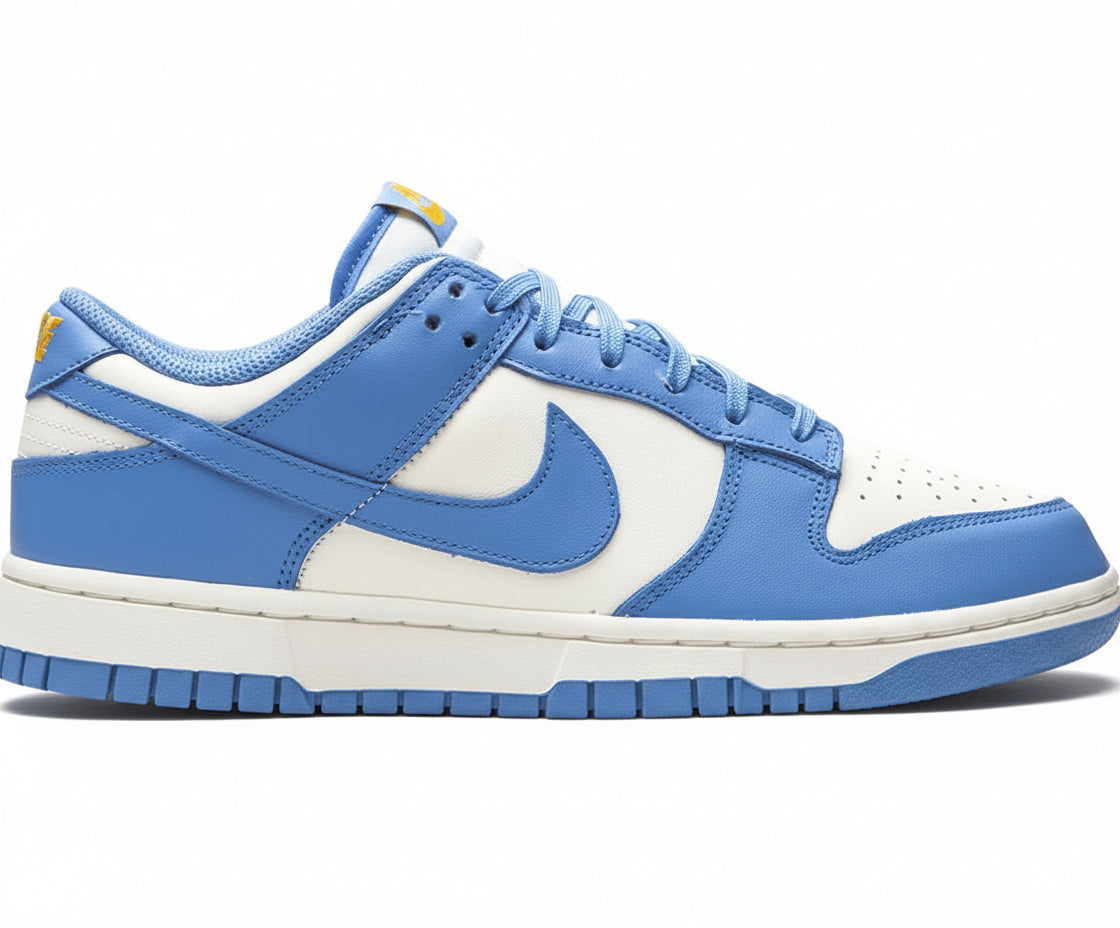 Nike Dunk Low Coast